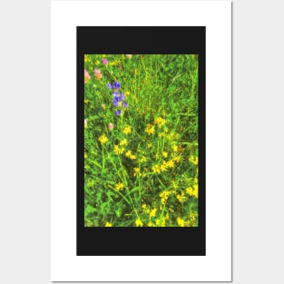 summer meadow Posters and Art